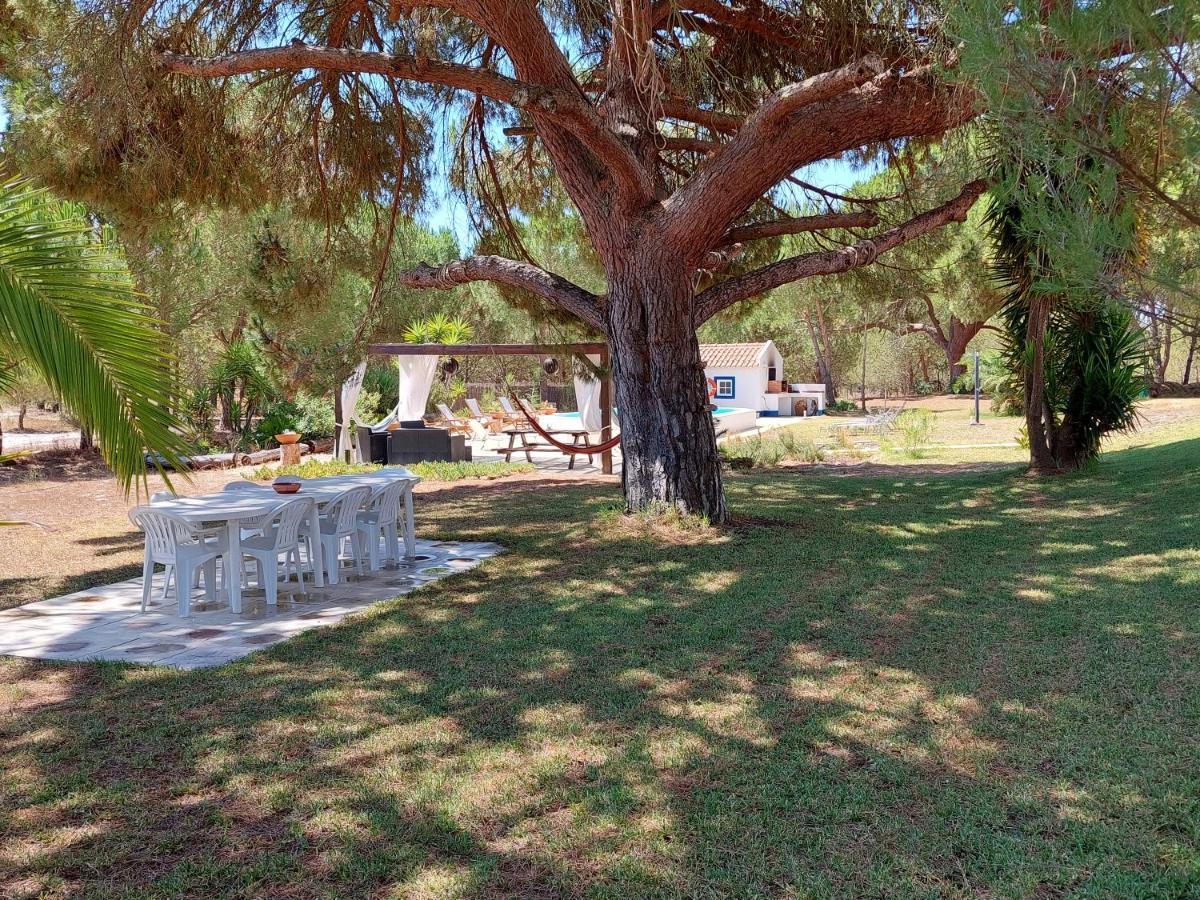 Monte Do Pinheirinho Villa São Domingos Dış mekan fotoğraf