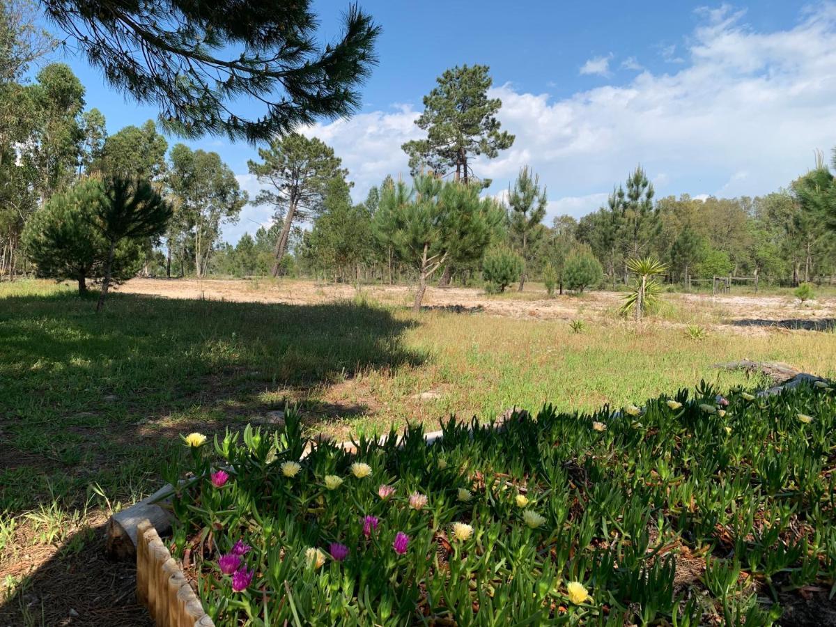 Monte Do Pinheirinho Villa São Domingos Dış mekan fotoğraf